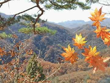 蓝田县周一限号不限行-蓝田县星期一是怎样限行的