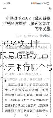 2024钦州市限号吗-钦州市今天限行哪个号段