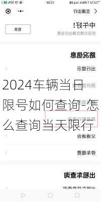 2024车辆当日限号如何查询-怎么查询当天限行