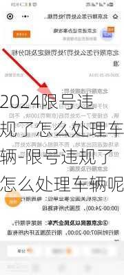 2024限号违规了怎么处理车辆-限号违规了怎么处理车辆呢