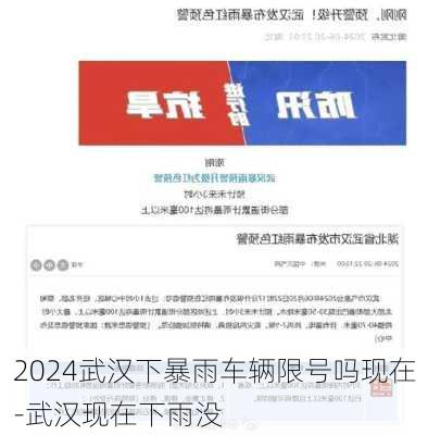 2024武汉下暴雨车辆限号吗现在-武汉现在下雨没