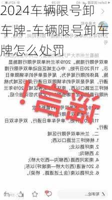 2024车辆限号卸车牌-车辆限号卸车牌怎么处罚