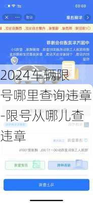 2024车辆限号哪里查询违章-限号从哪儿查违章