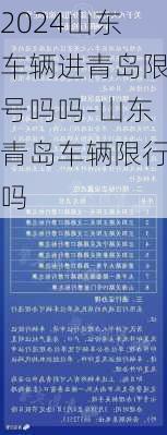 2024山东车辆进青岛限号吗吗-山东青岛车辆限行吗