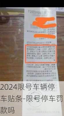 2024限号车辆停车贴条-限号停车罚款吗