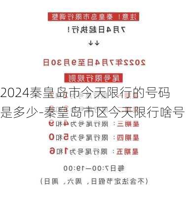 2024秦皇岛市今天限行的号码是多少-秦皇岛市区今天限行啥号