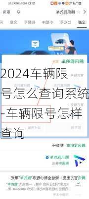 2024车辆限号怎么查询系统-车辆限号怎样查询