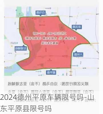 2024德州平原车辆限号吗-山东平原县限号吗