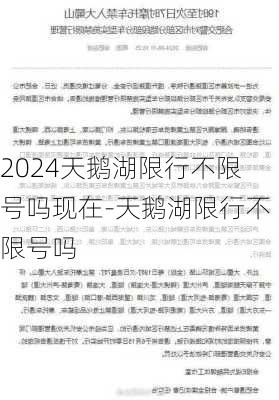 2024天鹅湖限行不限号吗现在-天鹅湖限行不限号吗