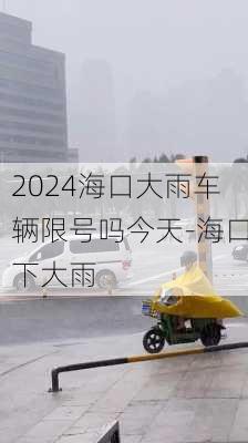 2024海口大雨车辆限号吗今天-海口下大雨