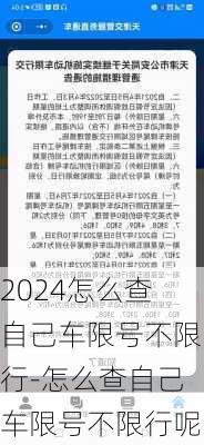 2024怎么查自己车限号不限行-怎么查自己车限号不限行呢