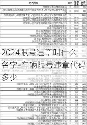 2024限号违章叫什么名字-车辆限号违章代码多少