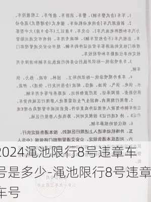 2024渑池限行8号违章车号是多少-渑池限行8号违章车号