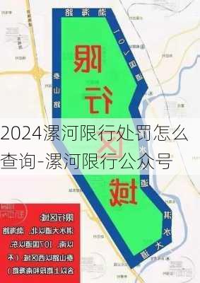 2024漯河限行处罚怎么查询-漯河限行公众号