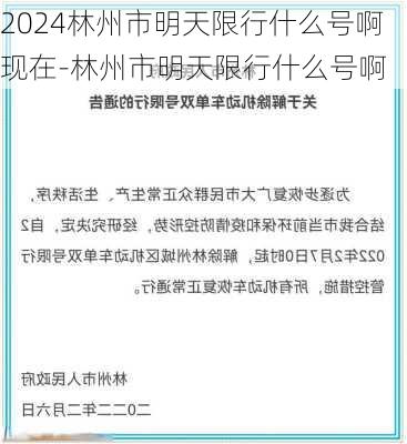 2024林州市明天限行什么号啊现在-林州市明天限行什么号啊