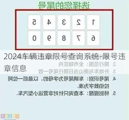 2024车辆违章限号查询系统-限号违章信息