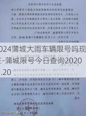 2024蒲城大雨车辆限号吗现在-蒲城限号今日查询2020.1.20