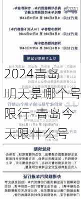 2024青岛明天是哪个号限行-青岛今天限什么号