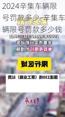 2024辛集车辆限号罚款多少-辛集车辆限号罚款多少钱