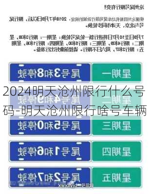 2024明天沧州限行什么号码-明天沧州限行啥号车辆