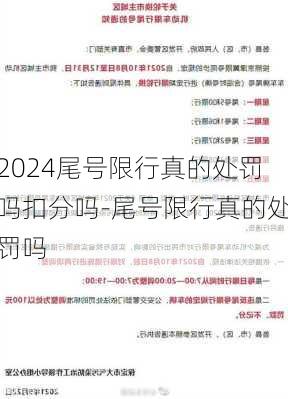 2024尾号限行真的处罚吗扣分吗-尾号限行真的处罚吗