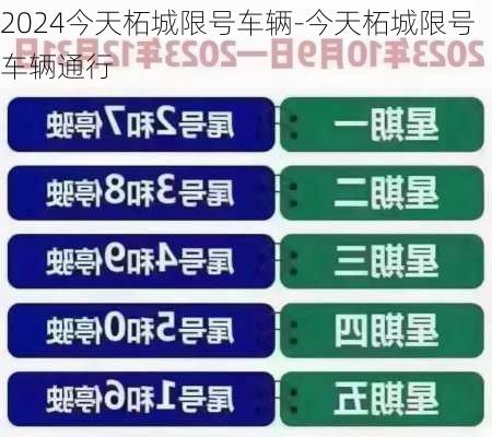 2024今天柘城限号车辆-今天柘城限号车辆通行