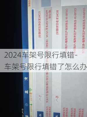 2024车架号限行填错-车架号限行填错了怎么办