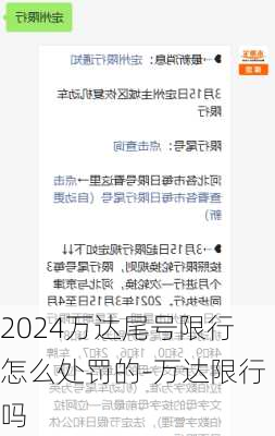 2024万达尾号限行怎么处罚的-万达限行吗