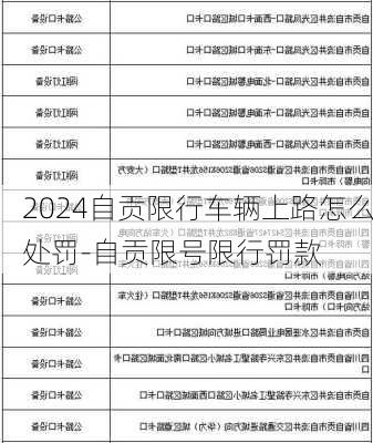 2024自贡限行车辆上路怎么处罚-自贡限号限行罚款