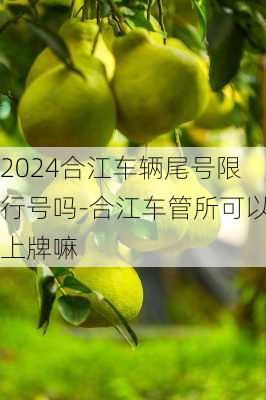 2024合江车辆尾号限行号吗-合江车管所可以上牌嘛