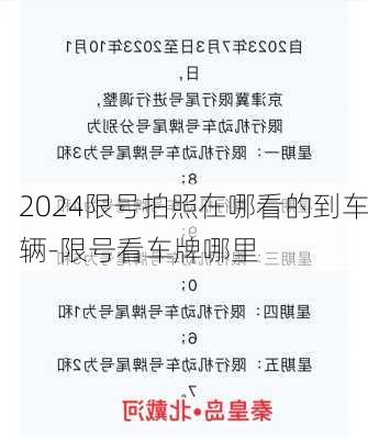 2024限号拍照在哪看的到车辆-限号看车牌哪里